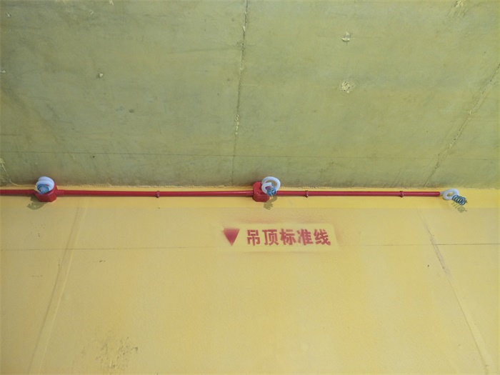 IMG20190404113515.jpg