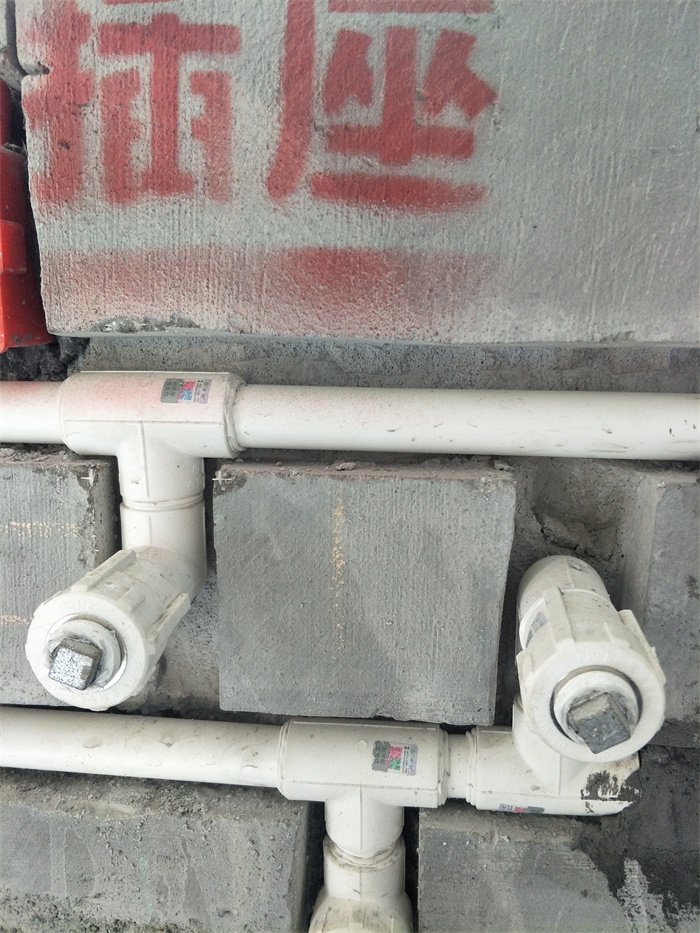 IMG20190404113646.jpg