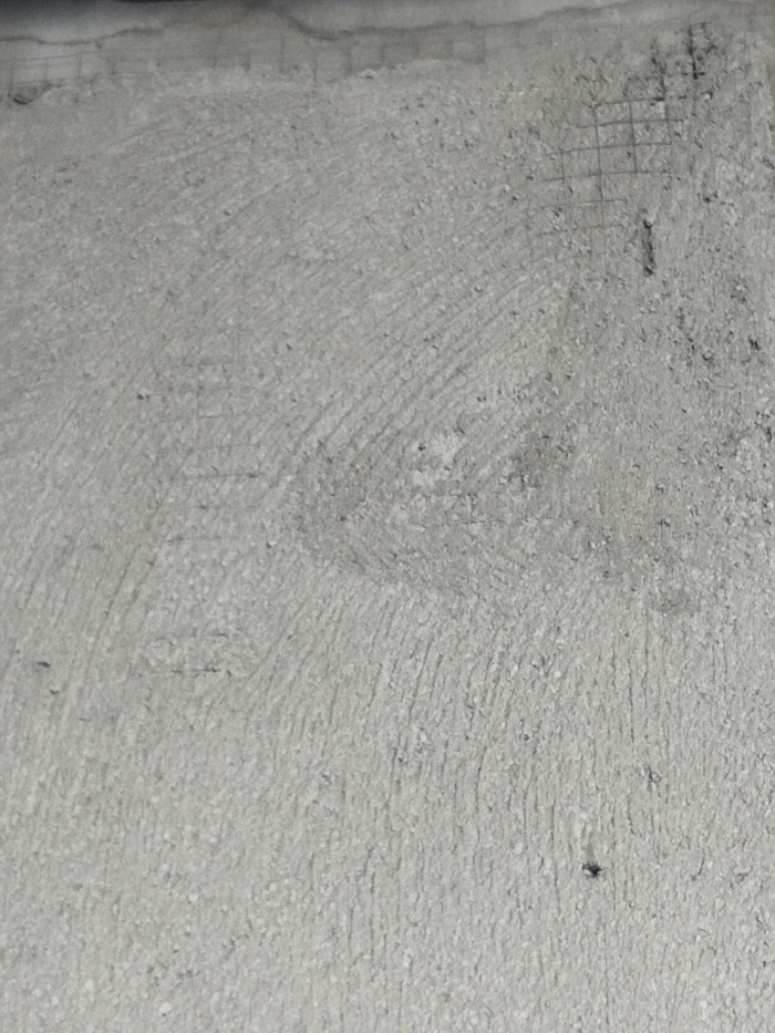 IMG20190406165340.jpg