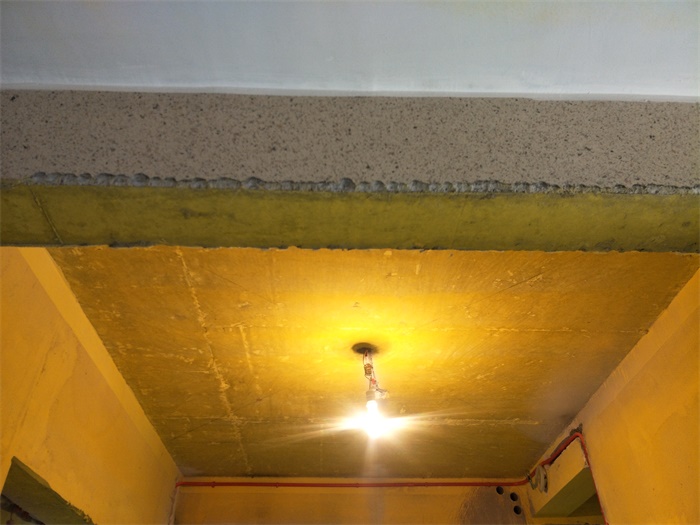 IMG20190406084631.jpg
