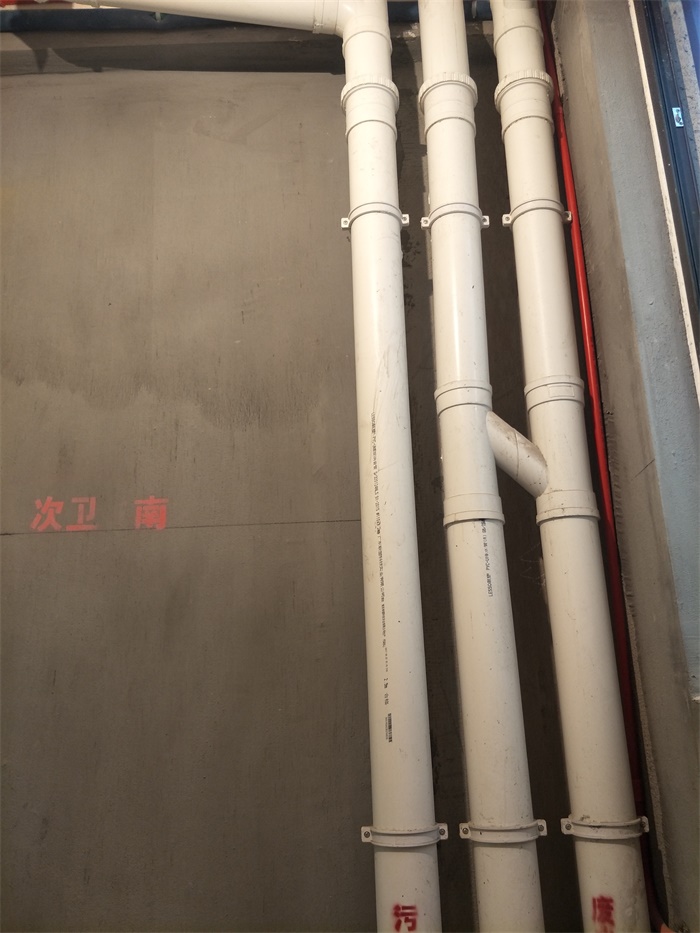 IMG20190406084822.jpg