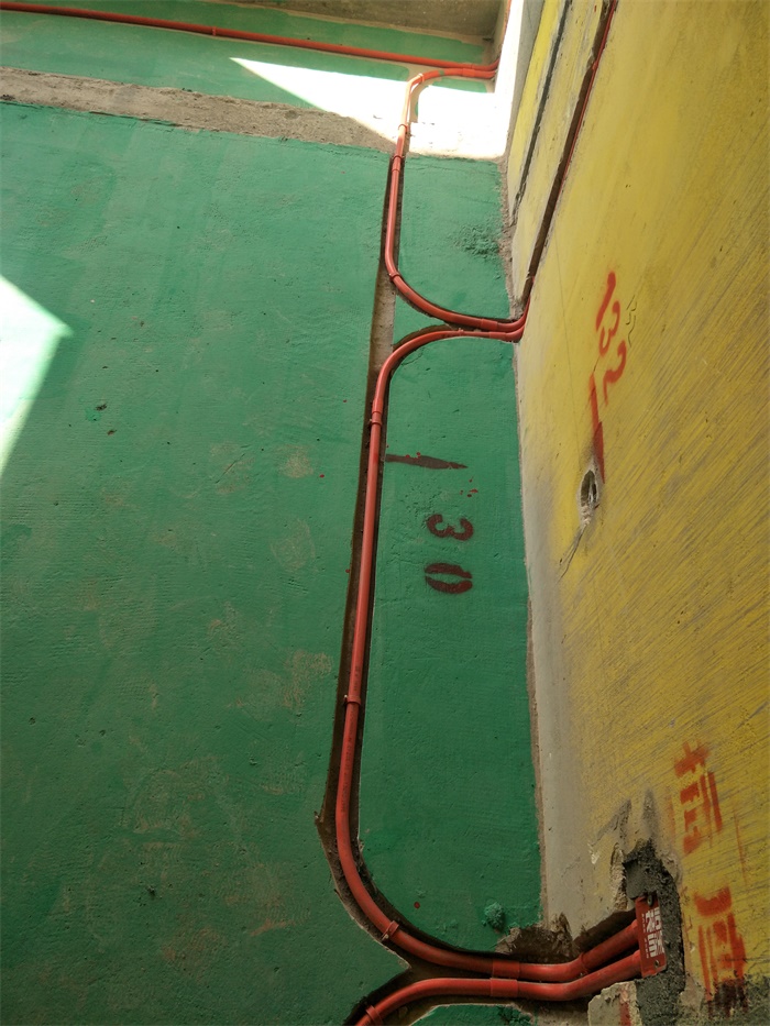 IMG20190406085014.jpg