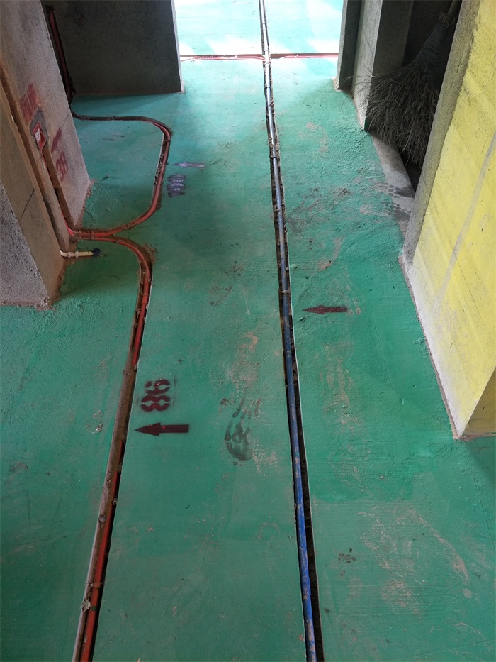 IMG20190407082951.jpg