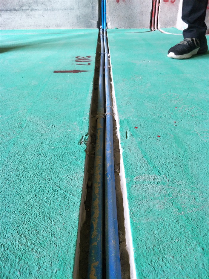 IMG20190407091459.jpg