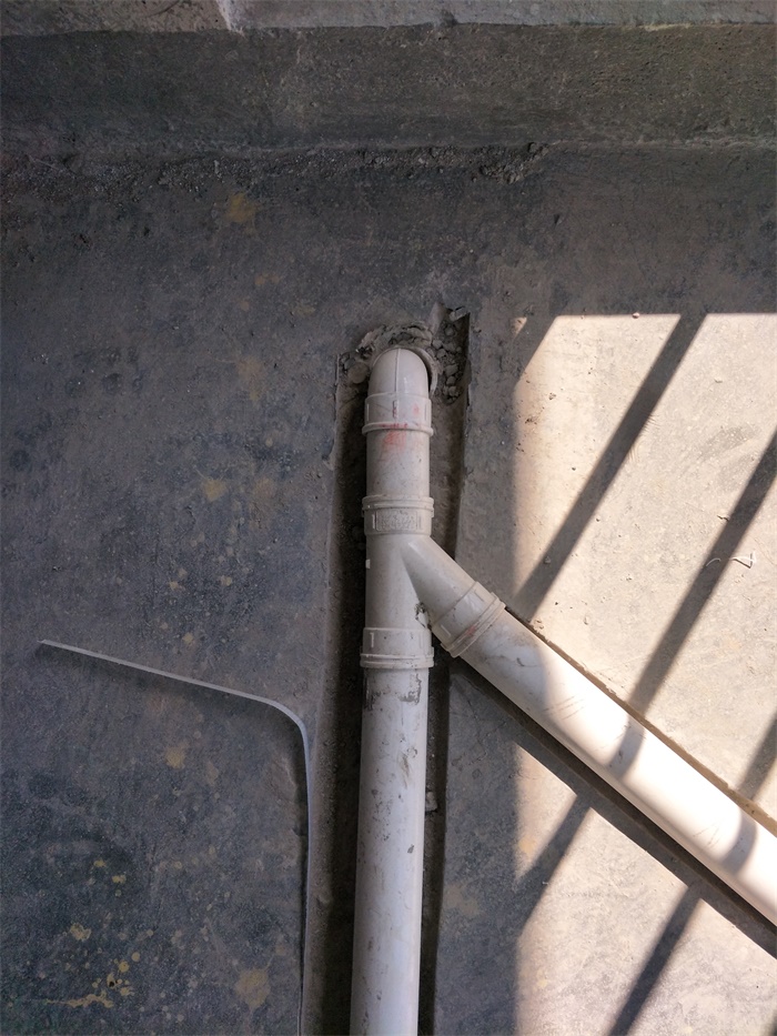 IMG20190407091634.jpg