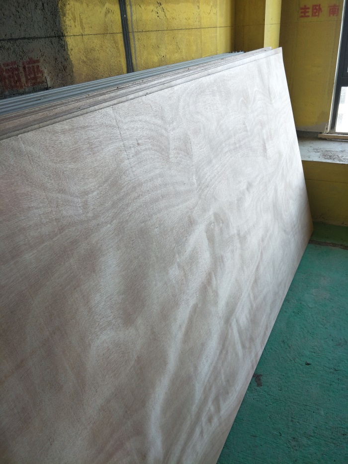 IMG20190407164426.jpg