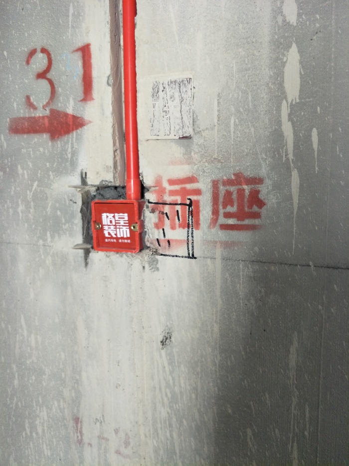 IMG20190408091601_1.jpg