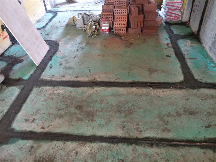 IMG20190409135316.jpg