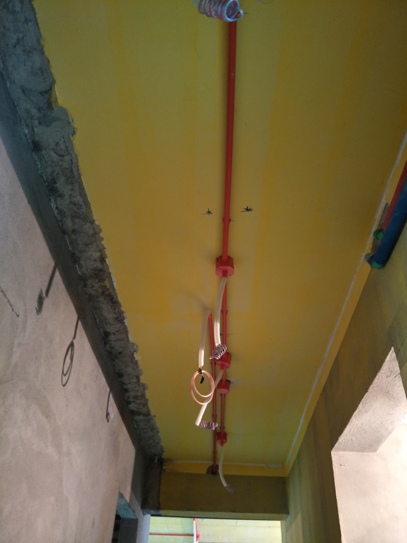 IMG20190329135545.jpg