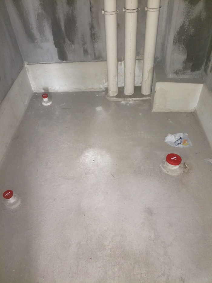 IMG20190409085536.jpg