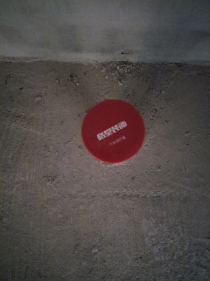 IMG20190409150156.jpg