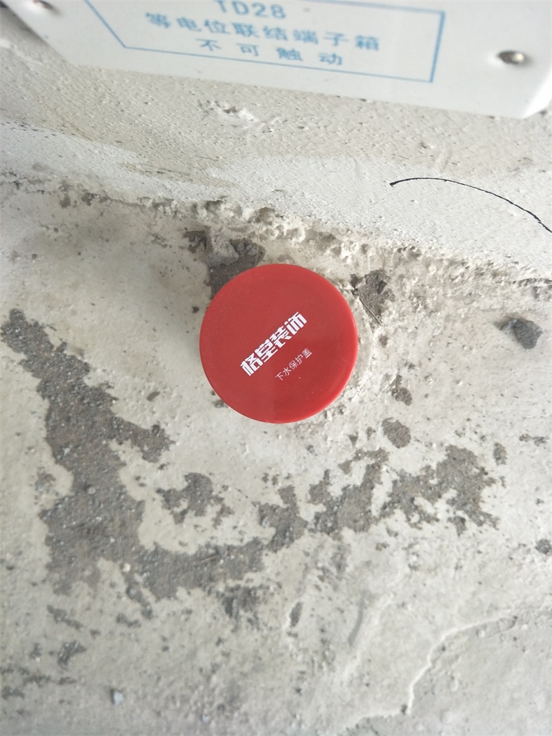 IMG20190409150211.jpg