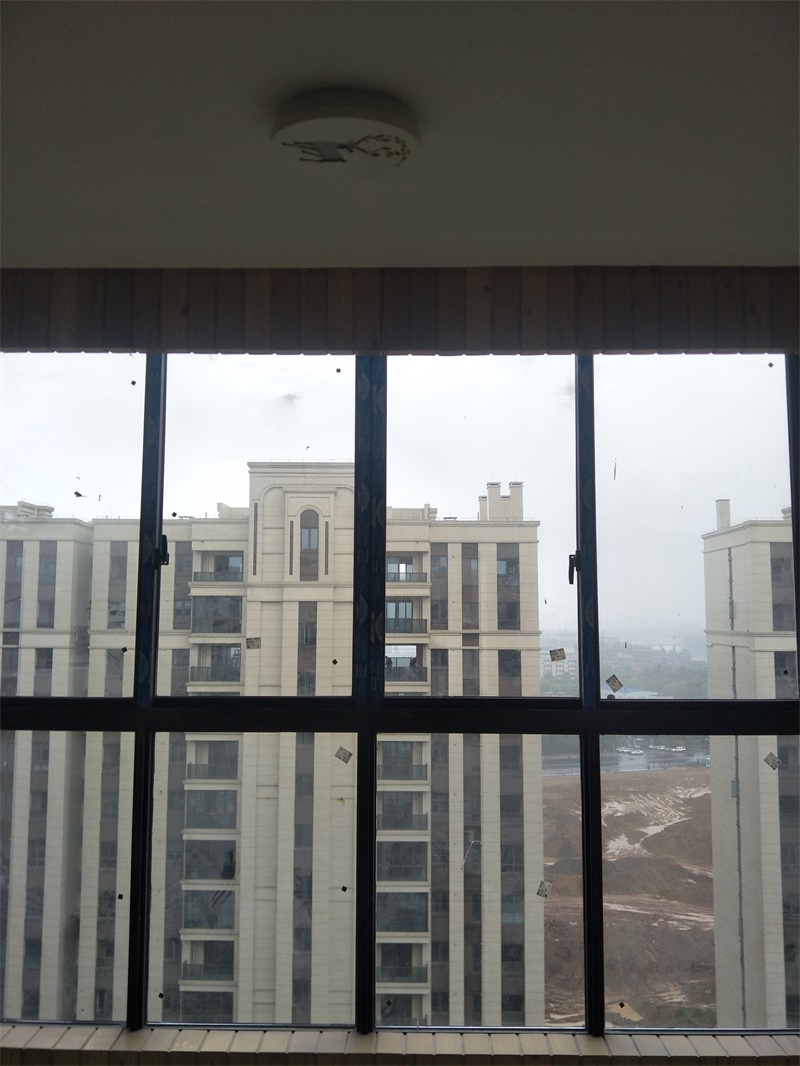 IMG20190411095836.jpg
