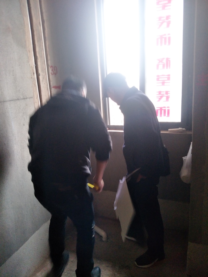 IMG20190411135339.jpg