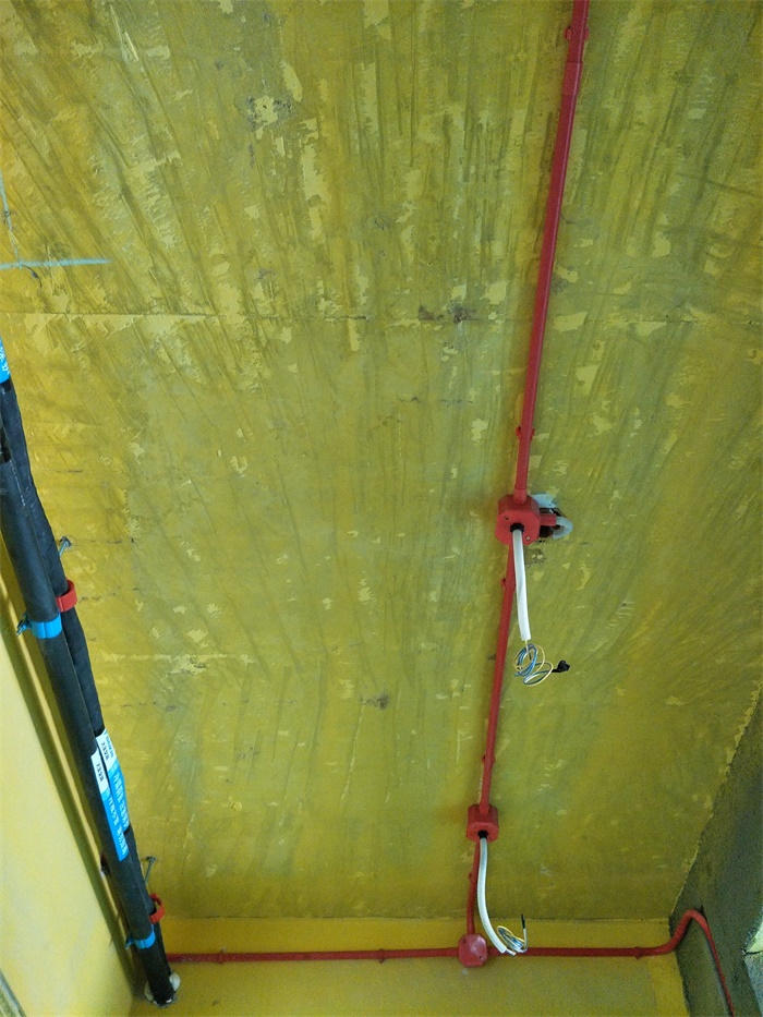 IMG20190409124653.jpg
