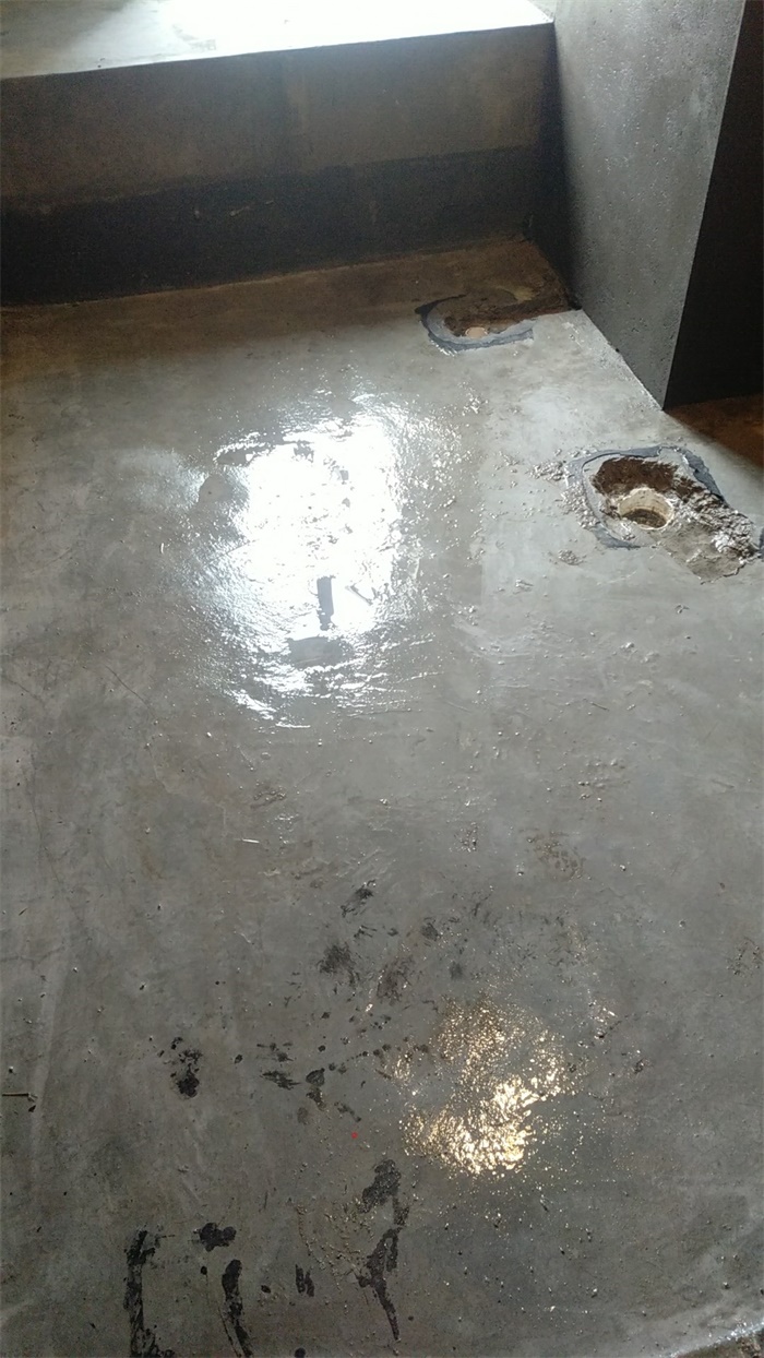 mmexport1555050413887.jpg