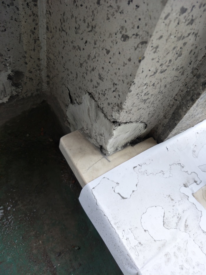 IMG20190410124336.jpg