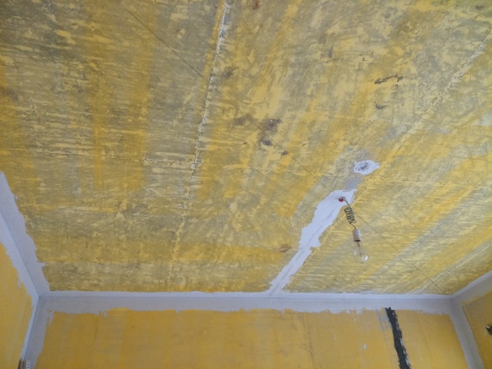 IMG20190411150303.jpg