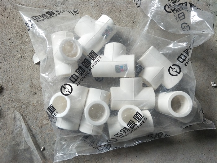 IMG20190411134958.jpg