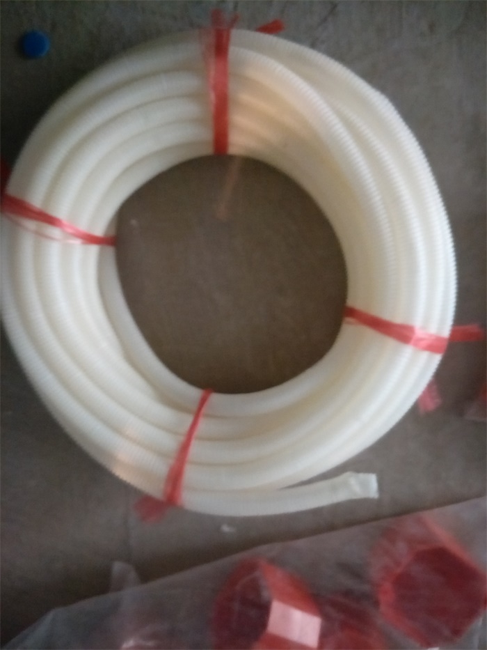 IMG20190411135631.jpg