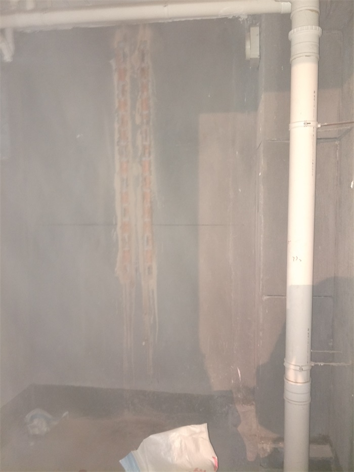 IMG20190411135939.jpg