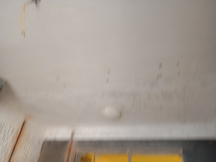IMG_20190417_113322.jpg