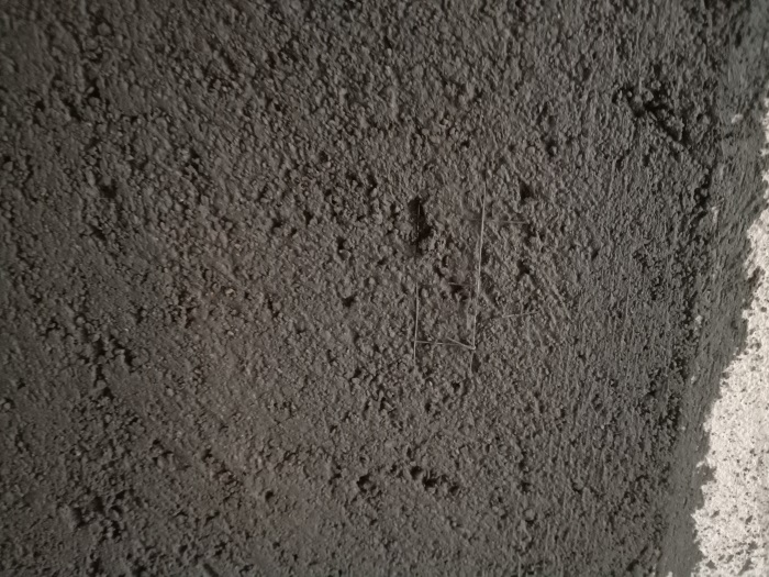 IMG_20190416_172552.jpg