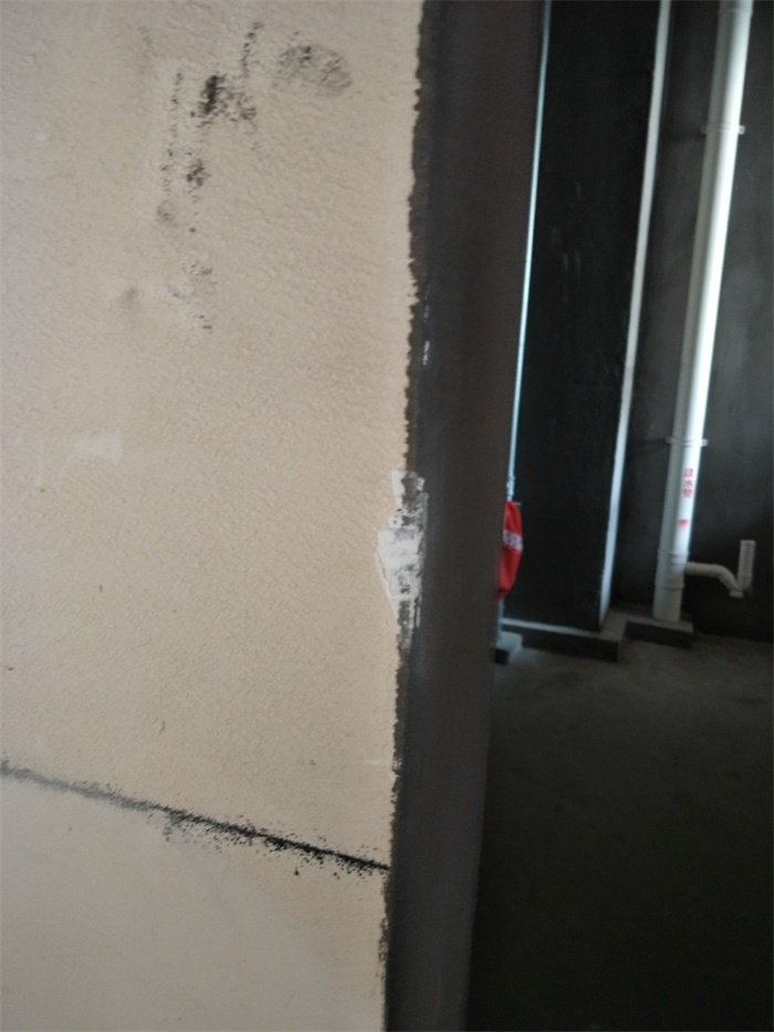 IMG20190414101903.jpg