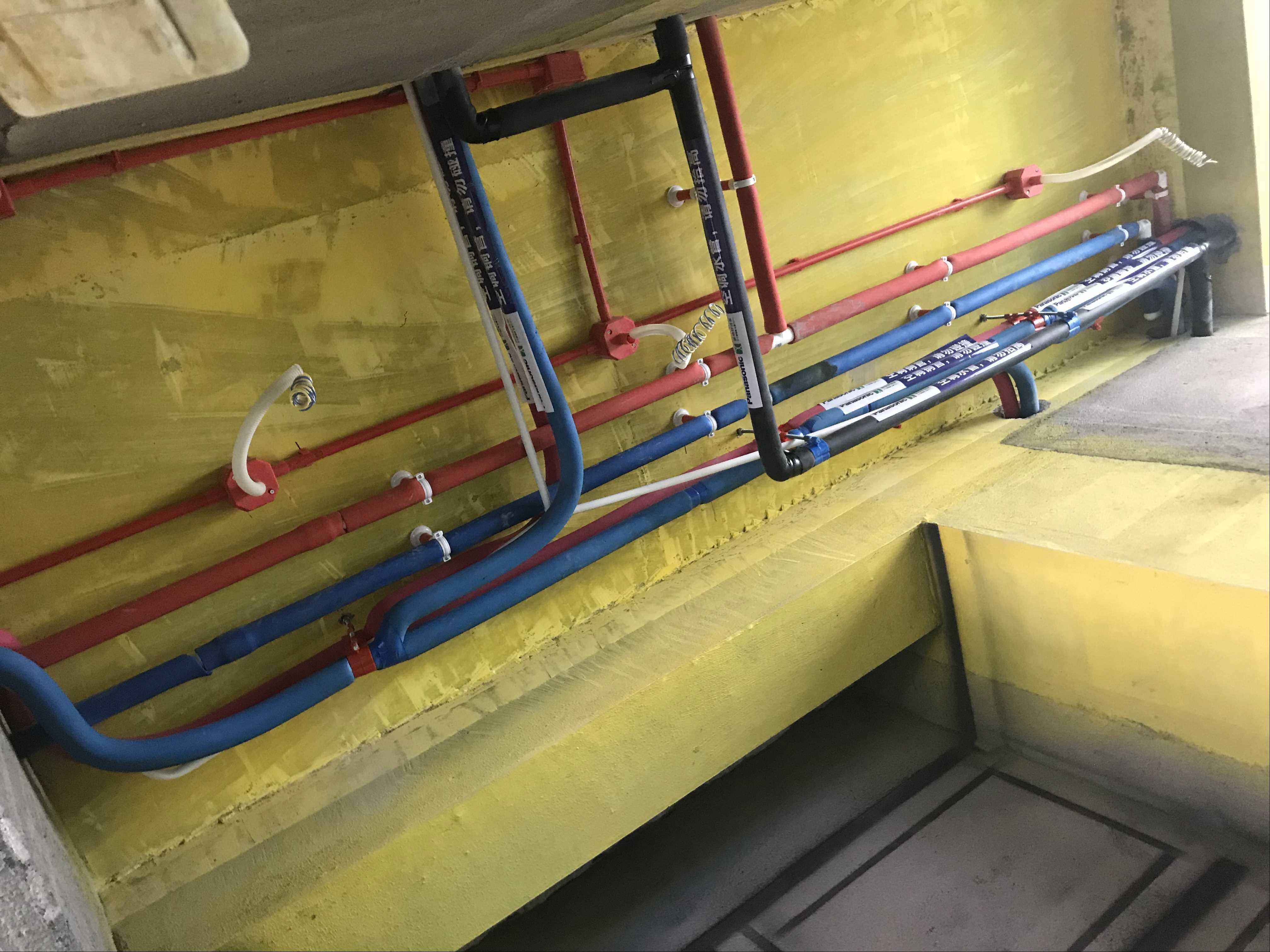 IMG_4235.jpg