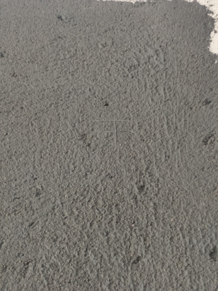 IMG20190415141021.jpg