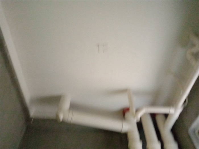 IMG_20190419_135604.jpg