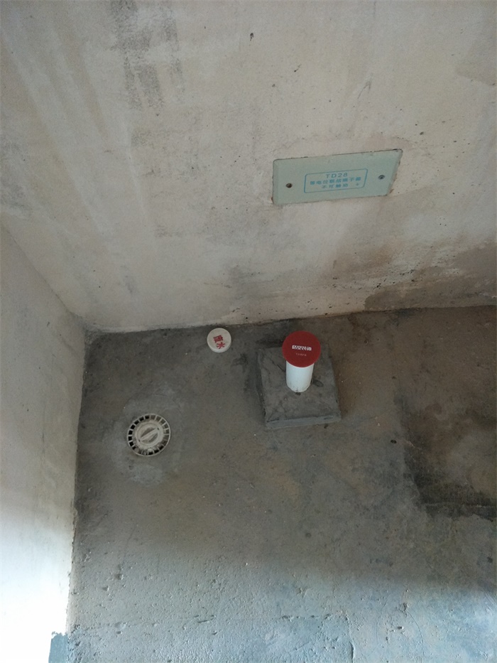 IMG20190423084031.jpg
