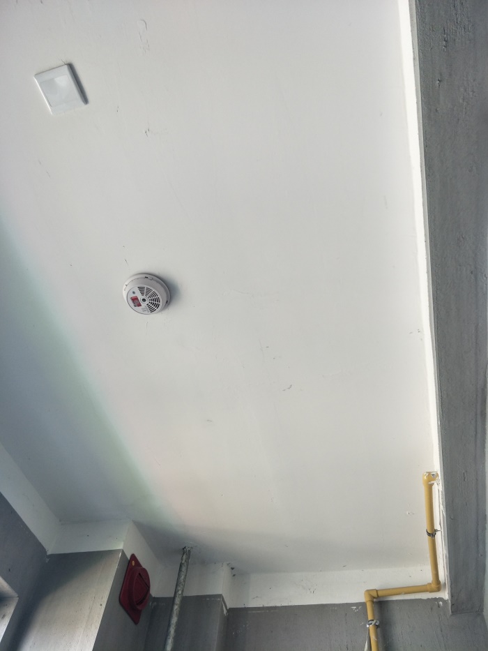 IMG20190417111603.jpg