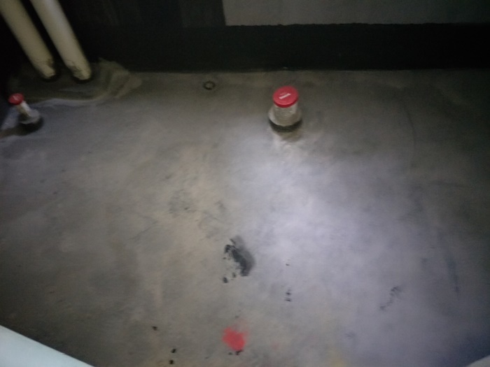 IMG20190417111724.jpg