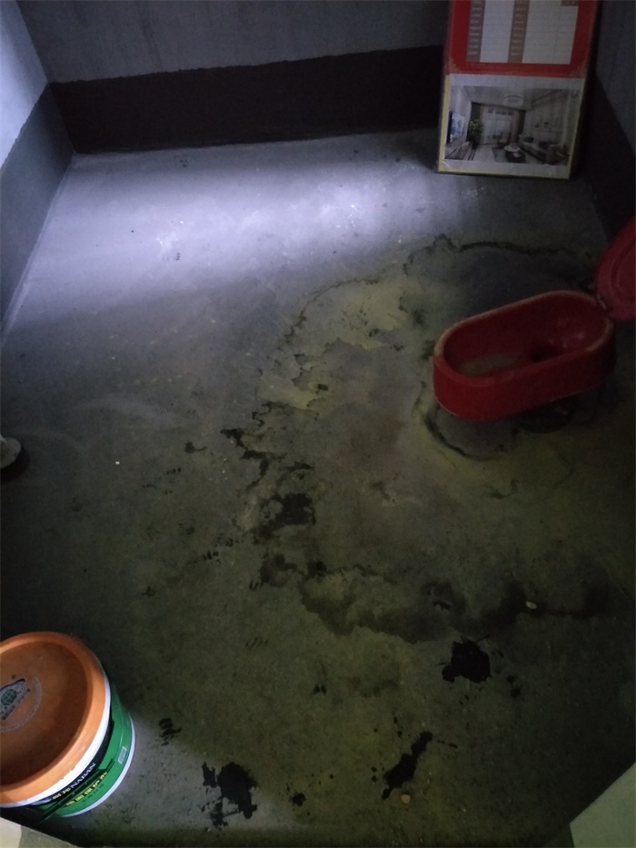 IMG20190417111837.jpg