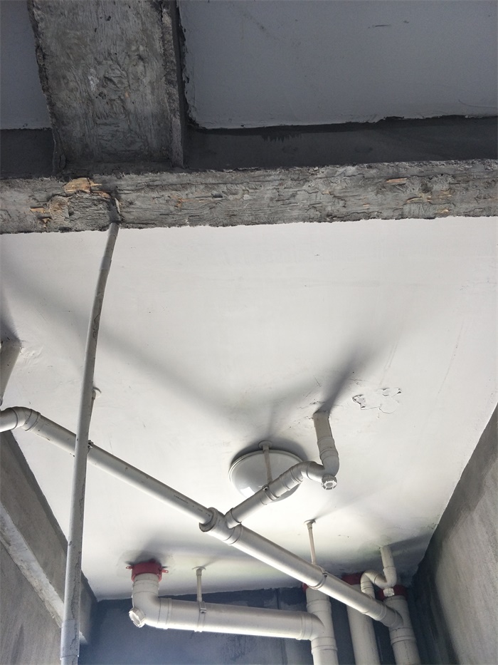 IMG20190417114929.jpg