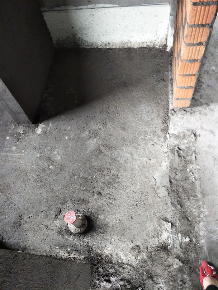 IMG20190424105700.jpg