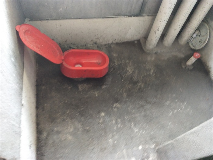 IMG20190424105757.jpg