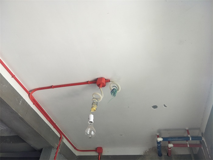 IMG20190418091646.jpg