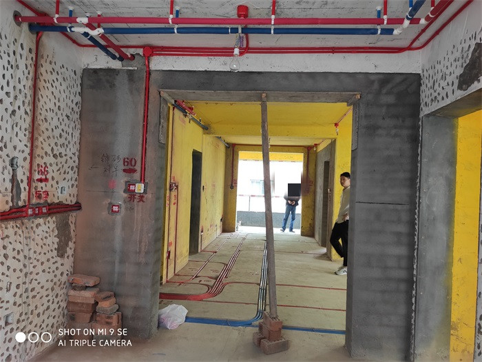 IMG_20190425_102419.jpg