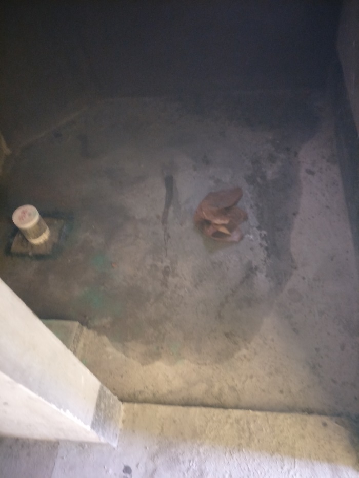 IMG20190422092837.jpg