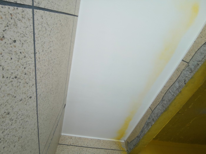 IMG_20190426_104339.jpg