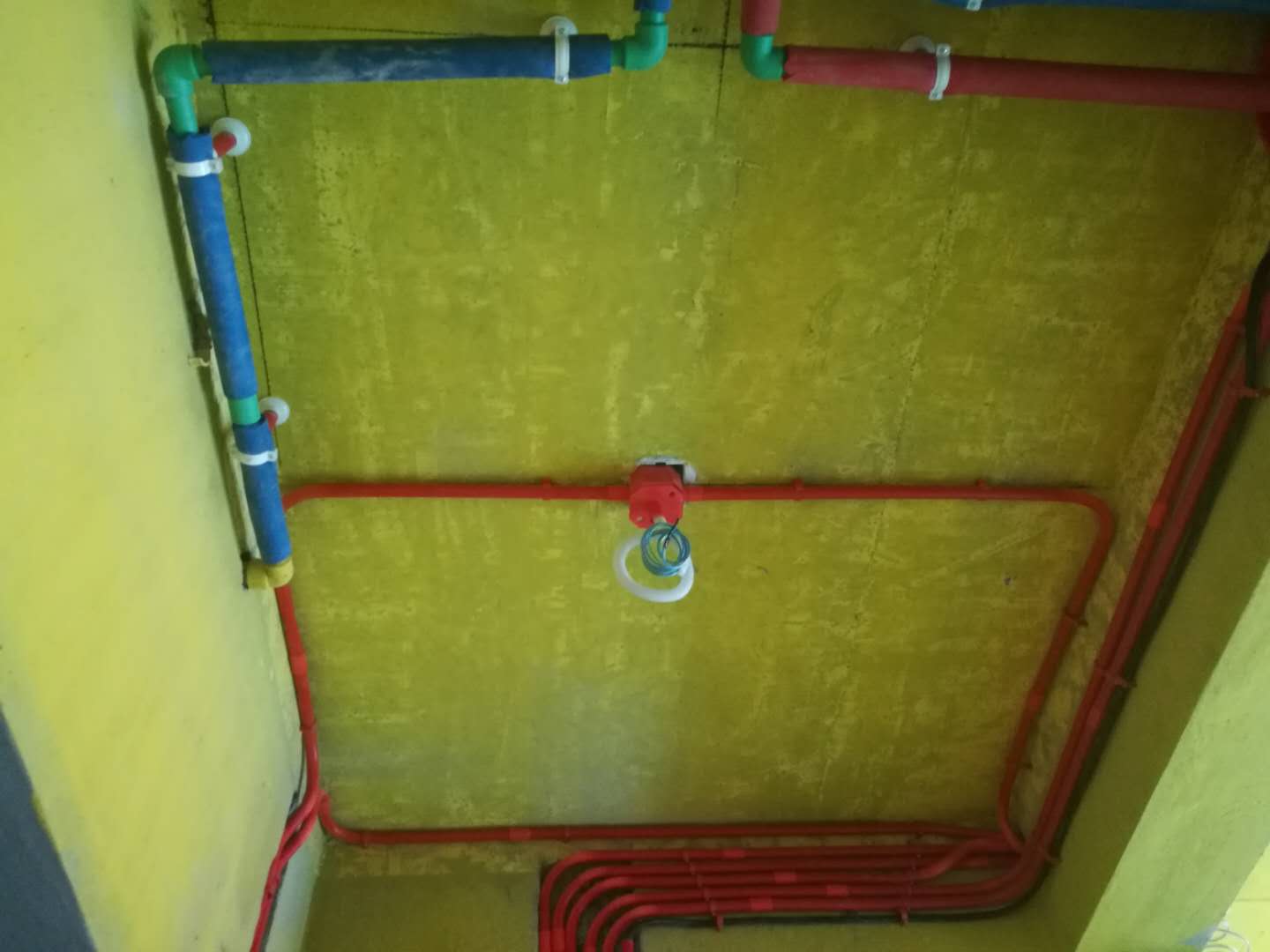8a6e5cc84f007c10d080ecf03fdd4a3.jpg