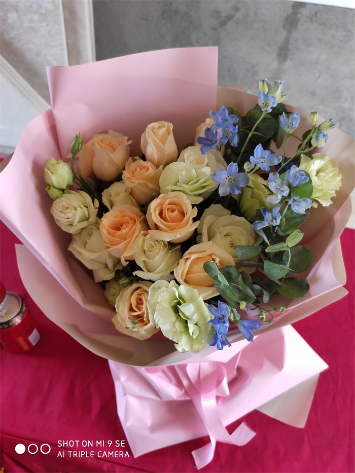 IMG_20190426_094136.jpg