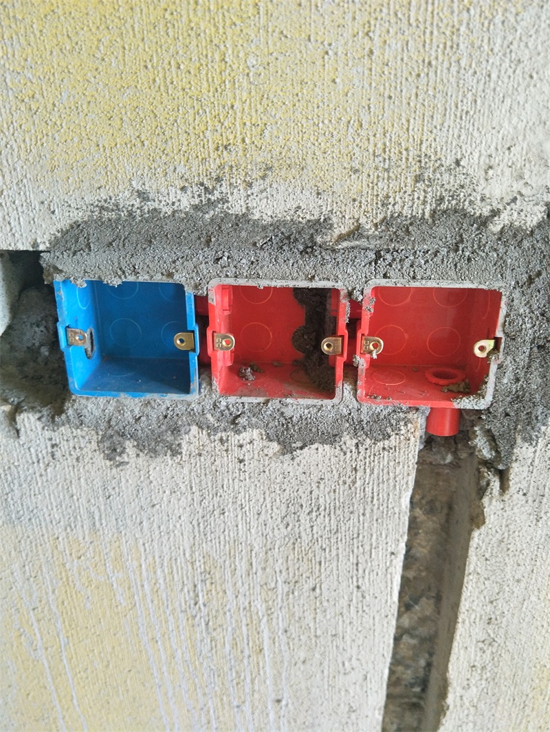 IMG20190423095228.jpg