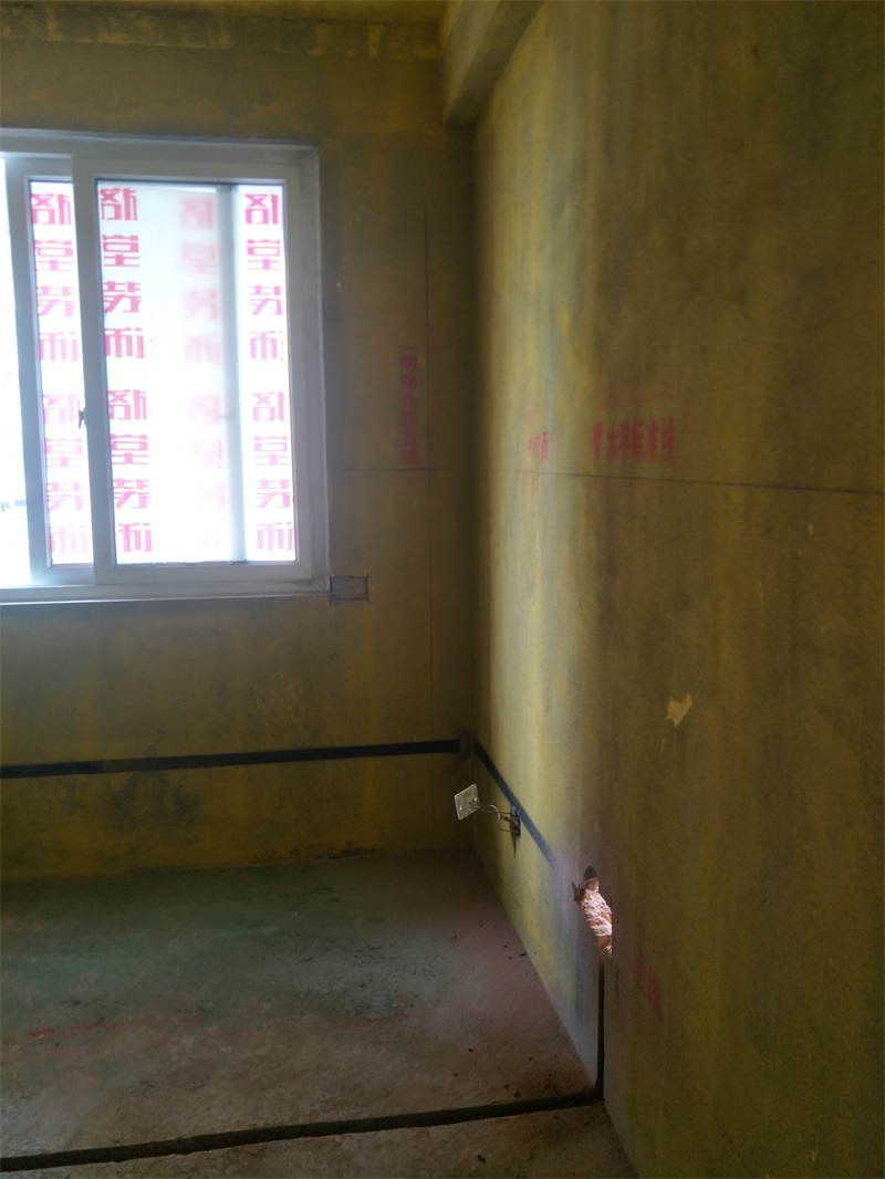 IMG20190428122005.jpg