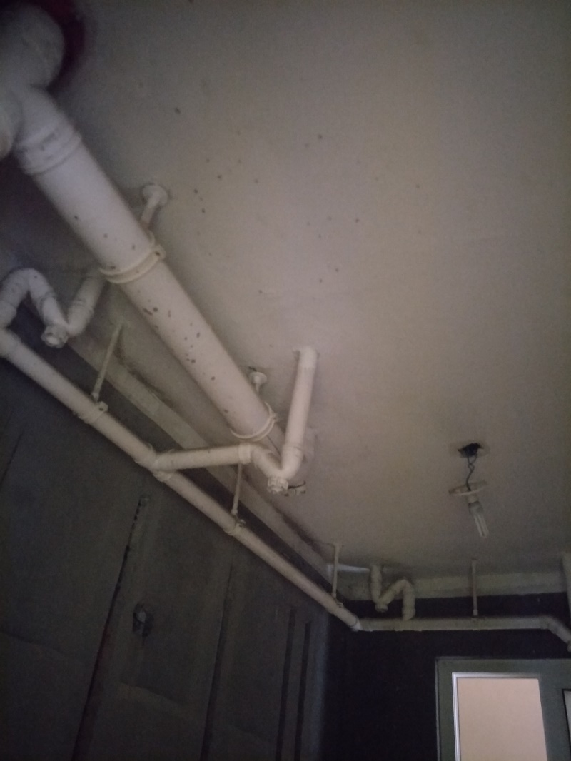 IMG20190428122132.jpg