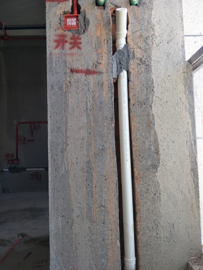 IMG20190420124057.jpg