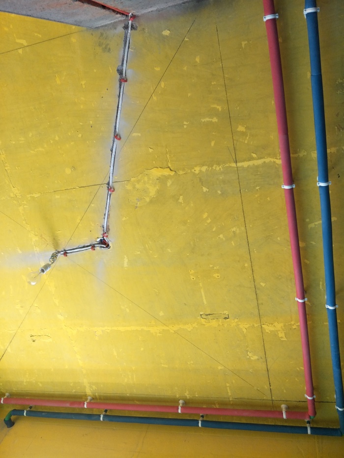 IMG20190420124957.jpg
