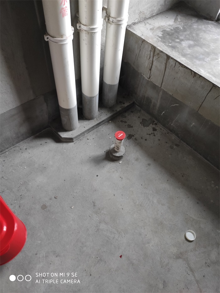 IMG_20190430_083546.jpg